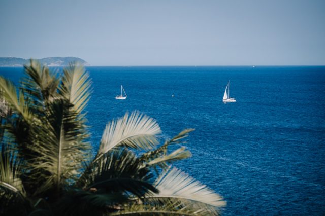 Paysage idyllique azuréen encadré par les palmiers, montrant la rade de Toulon et ses voiliers.
